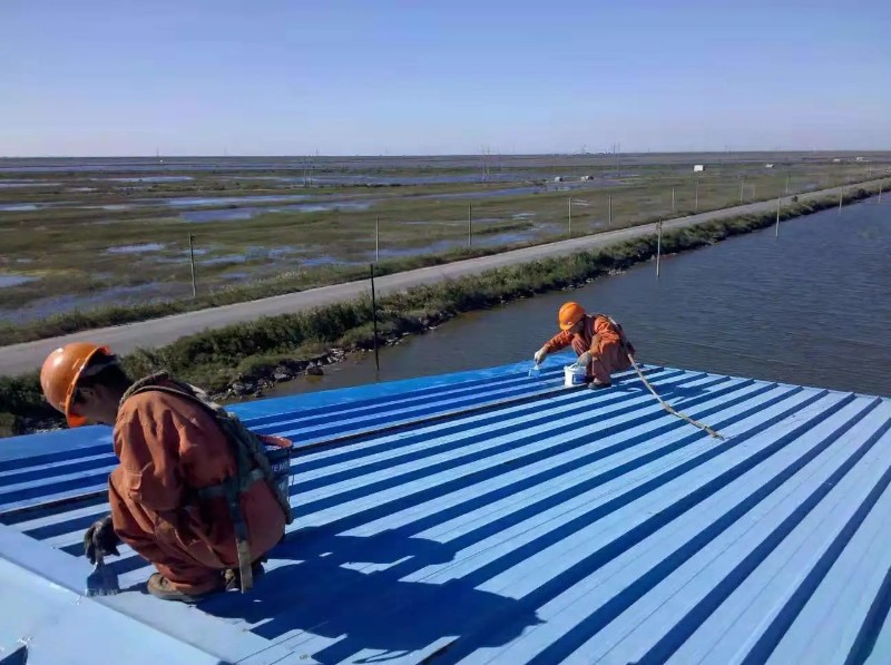 沾化彩钢瓦屋面防腐翻新